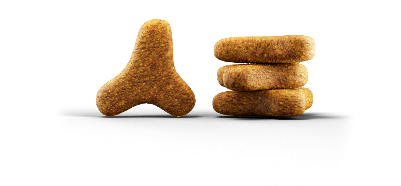 Josera Κλινική Δίαιτα Γάτας Help Weight & Diabetic Cat Dry 2kg