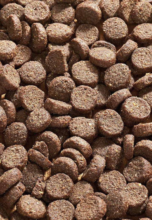 Vet-Concept Dog Low Carb 10Κg | Διαιτητική Ξηρά Τροφή για Σκύλους με Σακχαρώδη Διαβήτη