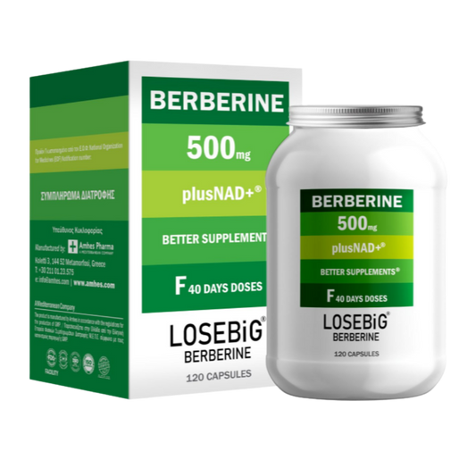 LOSEBiG Berberine 500mg Plus Nad 120caps