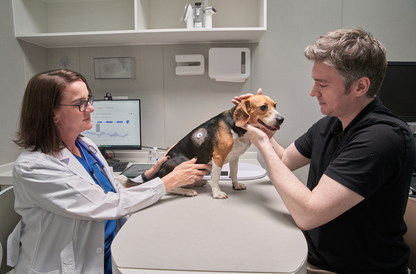 FurCarer CGM - Σύστημα Συνεχούς Παρακολούθησης Γλυκόζης Για Κατοικίδια