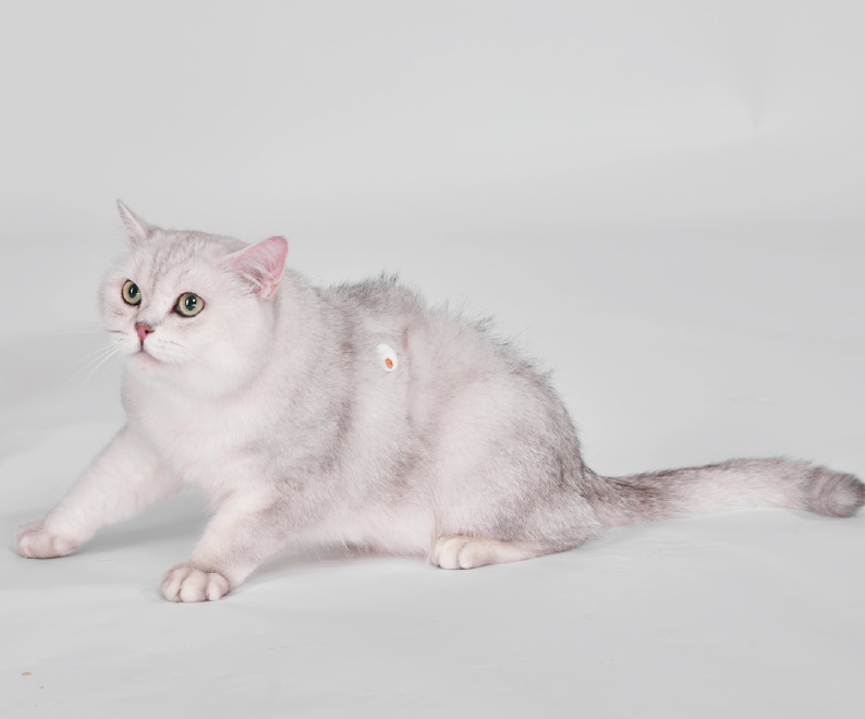 FurCarer CGM - Σύστημα Συνεχούς Παρακολούθησης Γλυκόζης Για Κατοικίδια