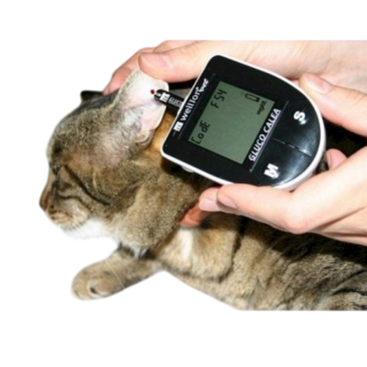 Wellion GLUCO CALEA Μετρητής Σακχάρου - Για Σκύλους & Γάτες