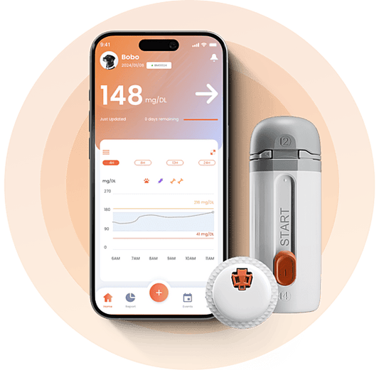 FurCarer CGM: Σύστημα Συνεχούς Παρακολούθησης Γλυκόζης για Σκύλους & Γάτες